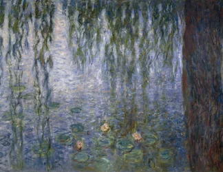 Seerosen (Detail)