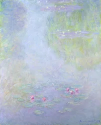 Seerosen