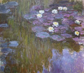 Seerosen