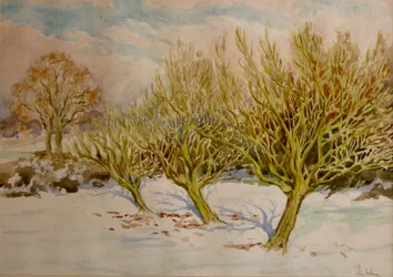 Der Obstgarten, Januarsonne, 2000