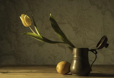 Gelbe Tulpen Stillleben