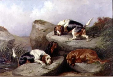 Otterhunde, 1889
