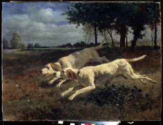 Rennende Hunde