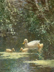 Entenmutter mit Entenküken im Wasser