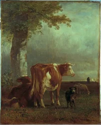 Kühe auf der Weide