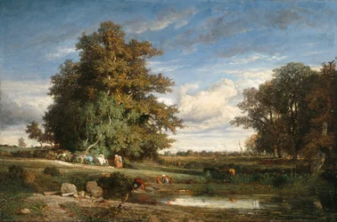 Das Moor
