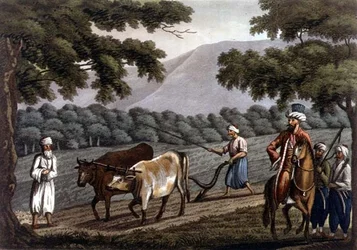 Landwirtschaft in Syrien, graviert von Joseph Constantine Stadler (fl.1780-1812) veröffentlicht von J. White