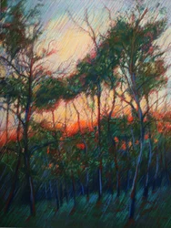 Wald Sonnenuntergangsglanz