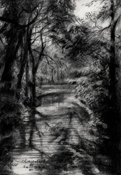 Schattiger Waldbach