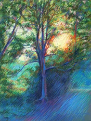 Sonniger Waldweg