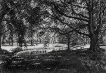 Sonniger Parkweg