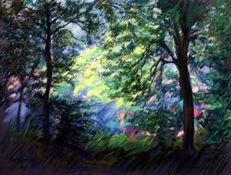 Lebendiges Waldlicht