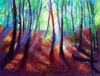 Lebendiges Waldlicht