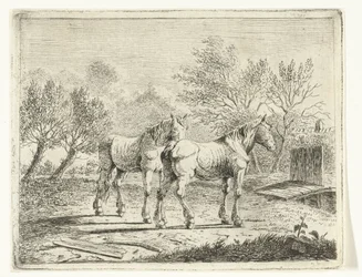 Weidelandschaft mit zwei Pferden bei Brücke und Bauernhof