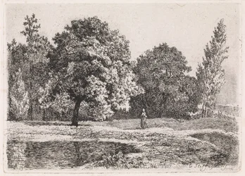 Landschaft mit Bäumen, See und einer Frau