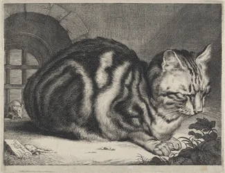 Die große Katze