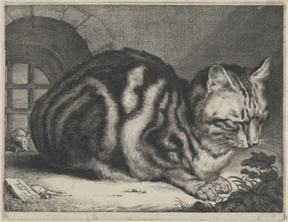 Die große Katze