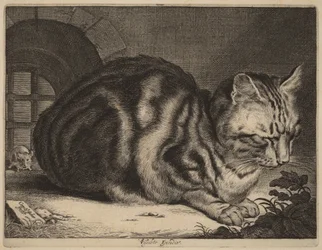 Die große Katze