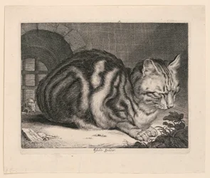 Die große Katze