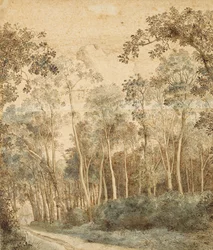 Bewaldete Landschaft