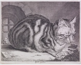 Die große Katze