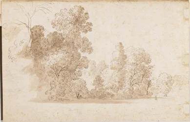 Eine bewaldete Landschaft