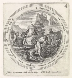 Noach legt einen Weinberg an