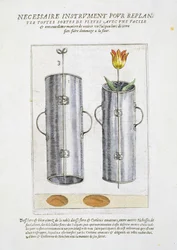 Gerät zum Umpflanzen von Blumen, aus 