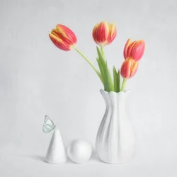 Frühlings-Tulpen Schmetterling
