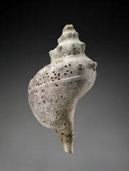 Himmlische Muschelschale mit Schädeln, 900-1521 n. Chr.