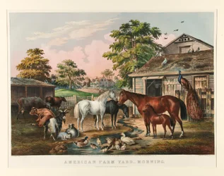 Amerikanischer Bauernhof - Morgen