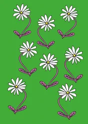 Gänseblümchen Wiederholung Grüner Hintergrund