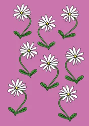 Gänseblümchen Wiederholung Rosa Hintergrund
