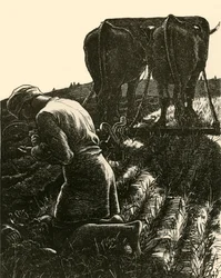 Der verborgene Schatz, 1864