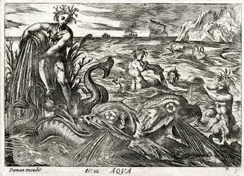 Aqua: Allegorie des Wassers