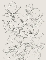 Magnolienbaum