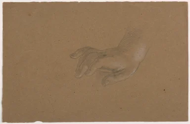 Studie einer rechten Hand