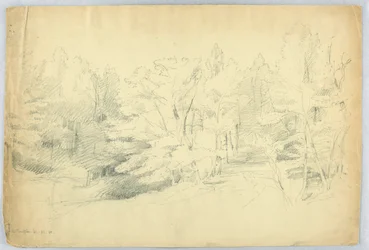 Waldszene - West Campton, New Hampshire