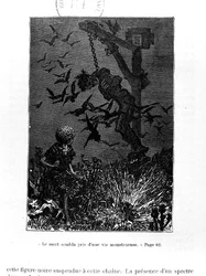 Illustration für 