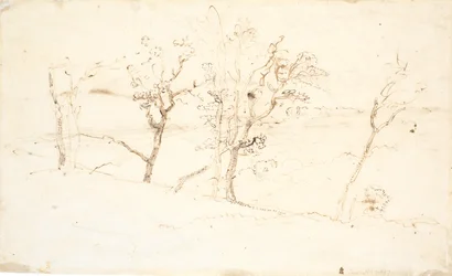 Jütländische Landschaft. Seen zwischen Hügeln
