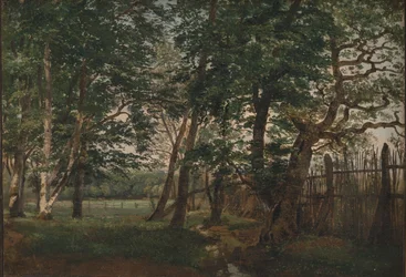 Der Hirschpark nördlich von Kopenhagen