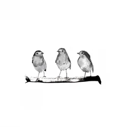 Kleine Vögel auf Zweig