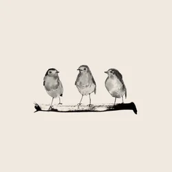 Drei sitzende Vögel