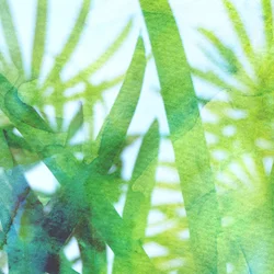 Aquarellgrünes Gras