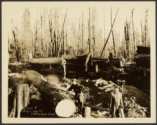 Holzfäller