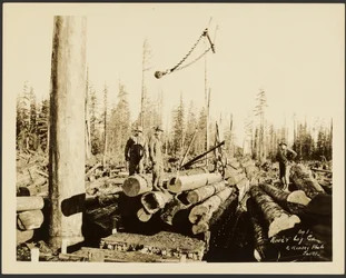 Holzfällerszene