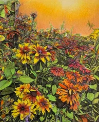 Abundance, 2019