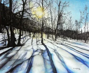 Winterschatten, 2017