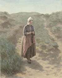 In den Dünen von Zandvoort