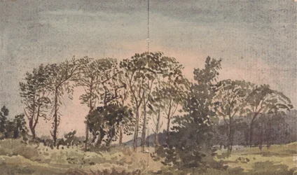 Landschaft mit Bäumen